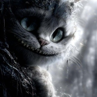 Telegram profile photo for Кот Балинта