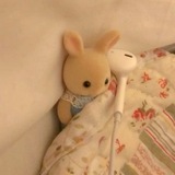 Telegram profile photo for coop