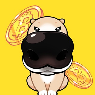 Telegram profile photo for 쿠엉 비트코인 분석 채널
