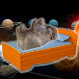 Telegram profile photo for Molly lazy calls