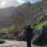 Telegram profile photo for MultiMuse