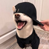 Telegram profile photo for пупупу