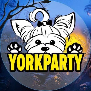 Telegram profile photo for YorkParty