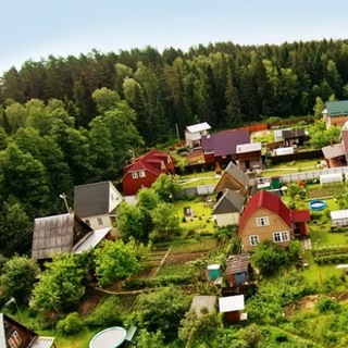 Telegram profile photo for СНТ по любви: дача, сад, огород