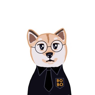 Telegram profile photo for Cryptobobo Daily