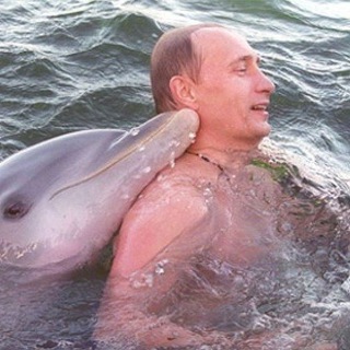 Telegram profile photo for На гребне волны. 2026