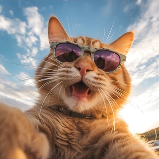 Telegram profile photo for $OGCat Coin (p)
