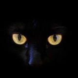 Telegram profile photo for Туся Козловская