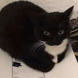 Telegram profile photo for Уксусная кислота 🛷👢
