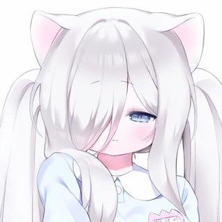 Telegram profile photo for . 𝗌𝗁𝖺𝗆𝗌 𐦍 .