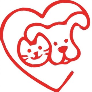 Telegram profile photo for ❤️ФЕНИКС❤️ - помощь бездомным животным (Нижний Новгород и область).