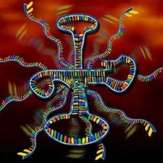 Telegram profile photo for أتمتات الوراثة الطبية 🧬🔬