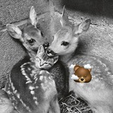 Telegram profile photo for 𝙰
