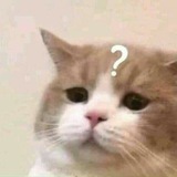 Telegram profile photo for random pussy on the internet