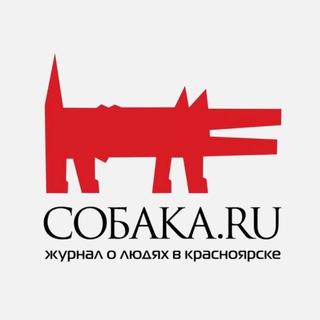 Telegram profile photo for Собака.ru Красноярск
