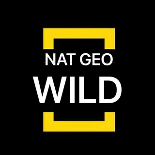 Telegram profile photo for Nat Geo WILD