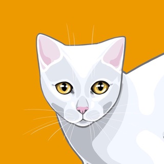 Telegram profile photo for Добрые мемы про животных