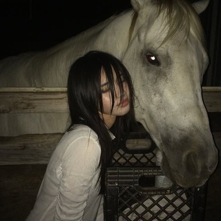 Telegram profile photo for ๐๐๐๐๐๐๐๐๐๐๐๐๐