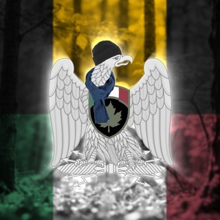 Telegram profile photo for Итальянский Национальный Комиссариат