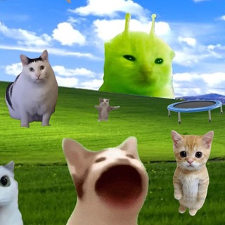 Telegram profile photo for Саванна выздоравливает