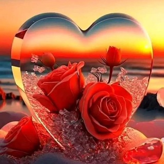Telegram profile photo for Beautiful videos 🌹❤️| Heart | Roses | Love | Pictures