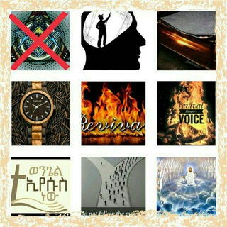 Telegram profile photo for All Rounded Christian✝️