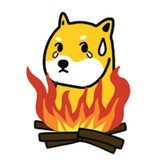Telegram profile photo for Burning Doge