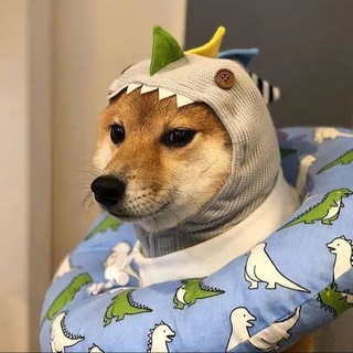 Telegram profile photo for Dinosaur Shiba | Portal