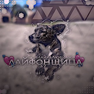 Telegram profile photo for Лайфонщицаᵒᶠᶠᶦᶜᶦᵃᶫ💗🦋