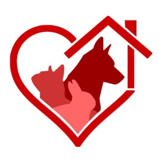 Telegram profile photo for Mascotas Adopción