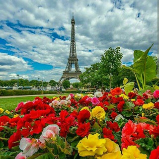 Telegram profile photo for Les blagues et les petits poèmes en français