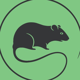 Telegram profile photo for DPI Tunnel