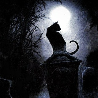 Telegram profile photo for яра и её таро🪄