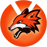 Telegram profile photo for Y FOX 🦊 FINANCE Announcements