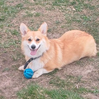 Telegram profile photo for Елисея