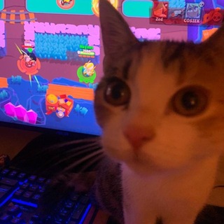 Telegram profile photo for Мир Brawl Stars
