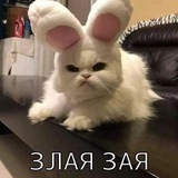 Telegram profile photo for ЗЛАЯ_ЗАЯ