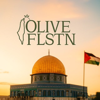 Telegram profile photo for Каталог OliveFLSTN