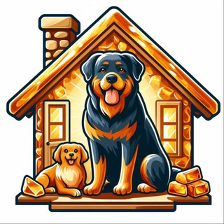 Telegram profile photo for В доме янтарного пса