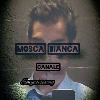 Telegram profile photo for MOSCA BIANCA