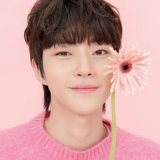 Telegram profile photo for 🦋Навигация Азиатские Дорамы🦋