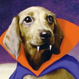 Telegram profile photo for Ассоциация Любителей Милых Аристократичных Такс Ыы