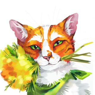Telegram profile photo for роки!!