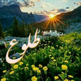 Telegram profile photo for طلوع