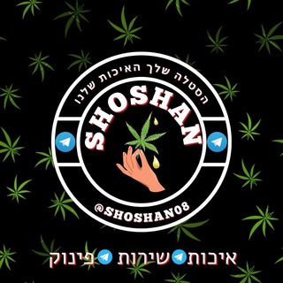 Telegram group profile photo for כיוונים השרון - כפר סבא / רעננה ירוק / וייד / גראס