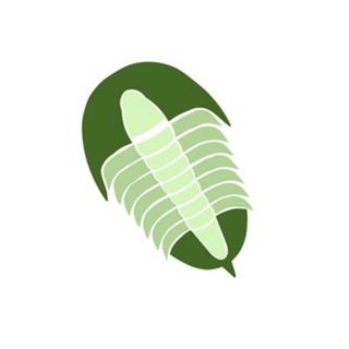 Telegram profile photo for Il Trilobite legge