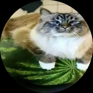 Telegram profile photo for администрация фейкфан