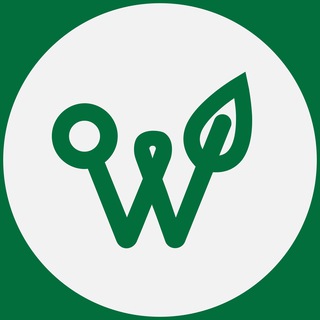 Telegram group profile photo for (Чат) Web3eco Плантации Павловнии