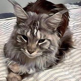 Telegram profile photo for ProHerochek отзеви