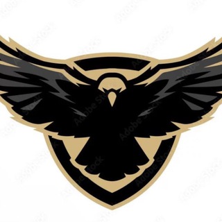 Telegram profile photo for Falcons 🦅